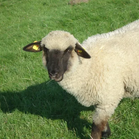 Hotel Greetsieler Perle Greetsiel